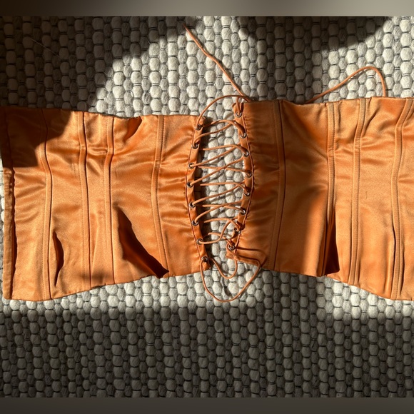 Danielle Guizio Strapless Corset - Sunset Orange - Picture 4 of 5